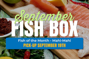 September Fish Box - 9/19