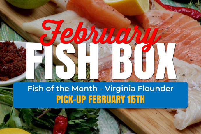 February Fish Box - 2/15