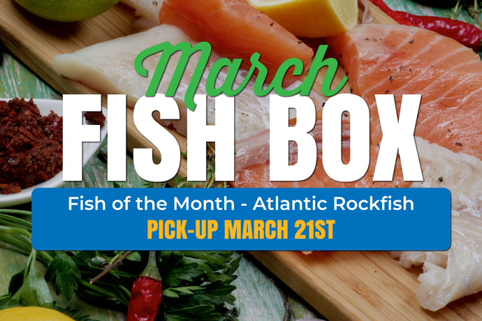 March Fish Box - 3/21